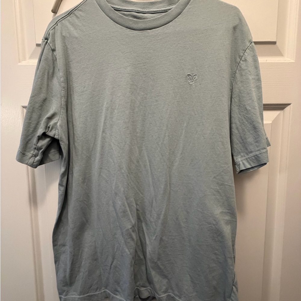 American Eagle Outfitters Sage Crewneck Tee